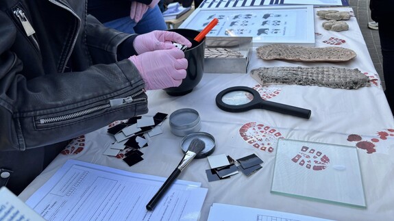 Wydział Prawa UwB na Dniu Otwartym Uniwersytetu w Białymstoku - 14 kwietnia 2026 r. (element fotogalerii) 