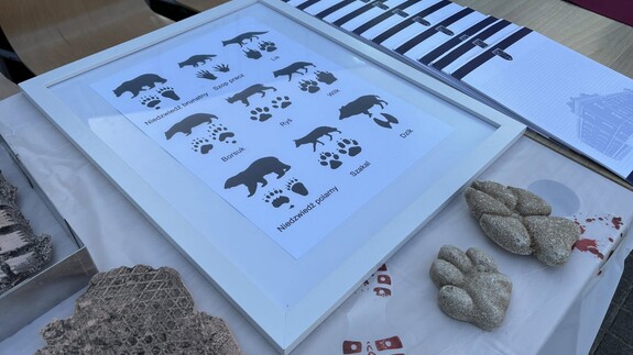 Wydział Prawa UwB na Dniu Otwartym Uniwersytetu w Białymstoku - 14 kwietnia 2026 r. (element fotogalerii) 