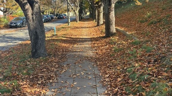 Dr Arkadiusz Bieliński odbył staż naukowo-dydaktyczny na Wydziale Prawa i Administracji UMK w Toruniu
