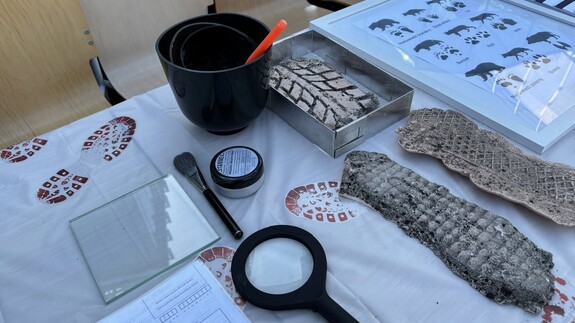 Wydział Prawa UwB na Dniu Otwartym Uniwersytetu w Białymstoku - 14 kwietnia 2026 r. (element fotogalerii) 